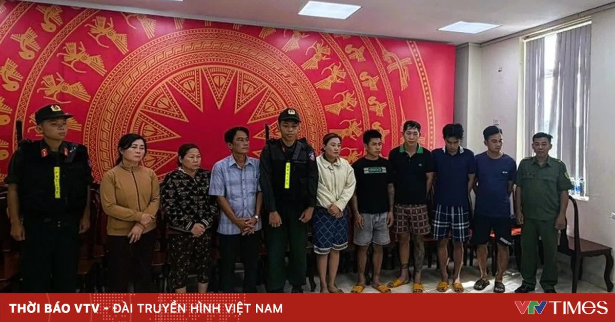 Triệt phá đường dây tiêu thụ 400 tấn lợn bệnh, lợn chết, thu lợi hơn 10 tỷ đồng