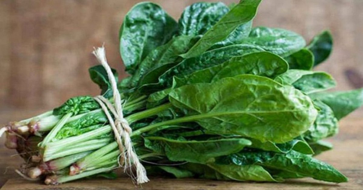5 loại rau "đẩy máu" lên não, người rối loạn tiền đình đừng để thiếu trên mâm cơm: Chợ Việt bán đầy, vài chục nghìn đã mua được