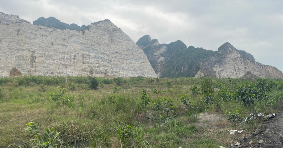 Ecogreen được thuê đất đợt 1 làm nhà máy xử lý chất thải Kinh Môn