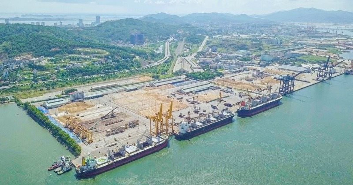 Công ty cảng biển của bầu Hiển báo lãi quý 3 tăng 42% sp với cùng kỳ