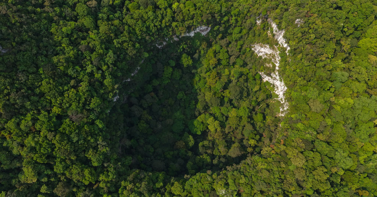 Từ một vùng tối trên Google Earth, phát hiện hố sụt khổng lồ sâu 120 m chưa từng thấy trong Vườn Quốc gia ở Việt Nam: Chuyên gia nhận định ngay 1 điều