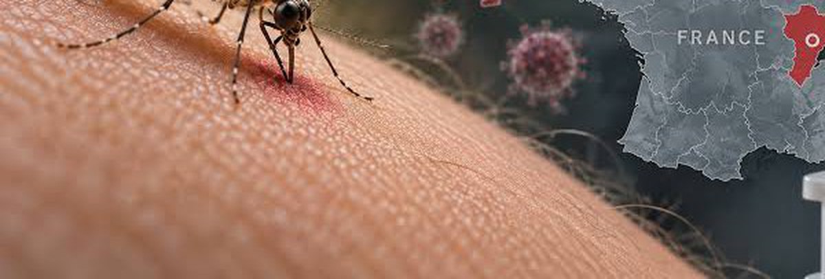 Phát hiện loại virus lần đầu được thấy ở người, bệnh nhân đã tử vong