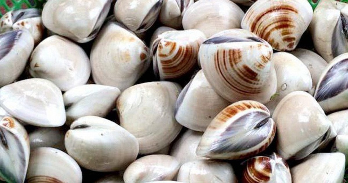 Đi chợ thấy ngao có 2 dấu hiệu này mua ngay lập tức: Người sành ăn nhìn là biết ngao tươi ngon, nhiều thịt