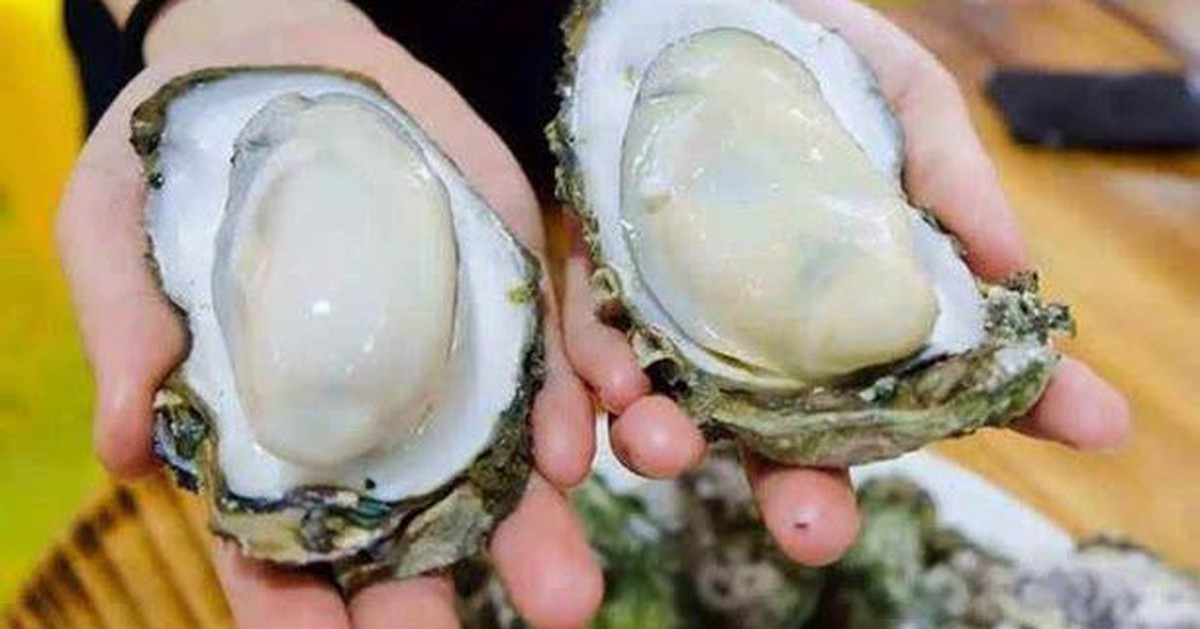 Đi chợ không nên mua 3 loại hàu này, giá rẻ đến mấy cũng đừng ham