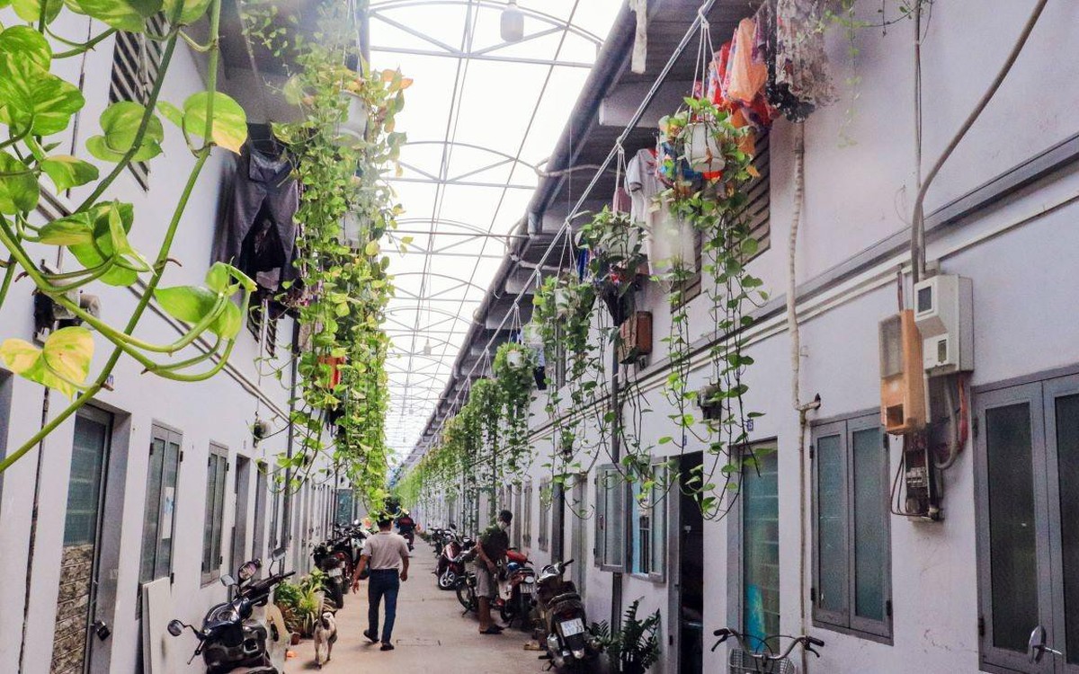Công an phát thông báo đặc biệt tới tất cả người dân có nhà, căn hộ cho thuê, cho mượn