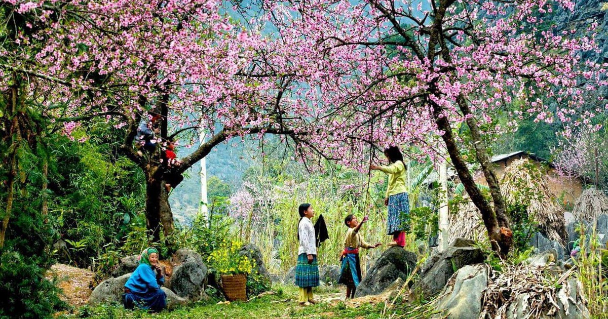 Phát hiện bản làng ở độ cao 1.300m tại Việt Nam, mùa xuân cả sườn núi nhuộm hồng như một tấm lụa khổng lồ