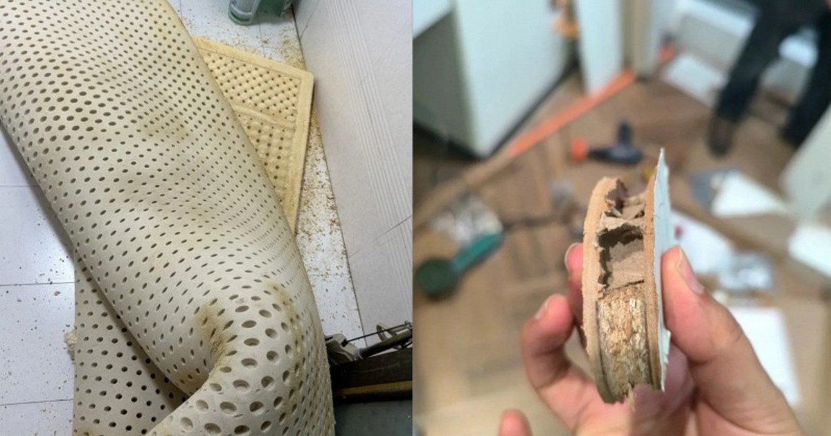 7 "sát thủ giấu mặt" trong nhà: Âm thầm gieo bệnh tật và bào mòn sức khỏe mỗi ngày