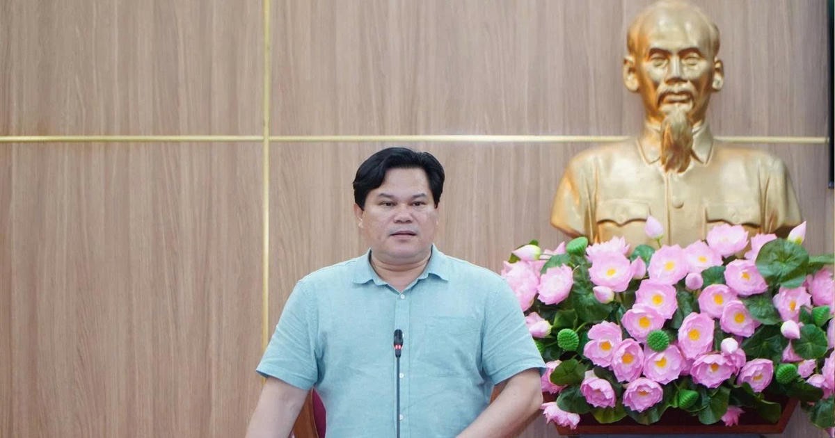 Quảng Ngãi tìm nguồn 1,5 triệu m3 đất san lấp cho dự án VSIP I
