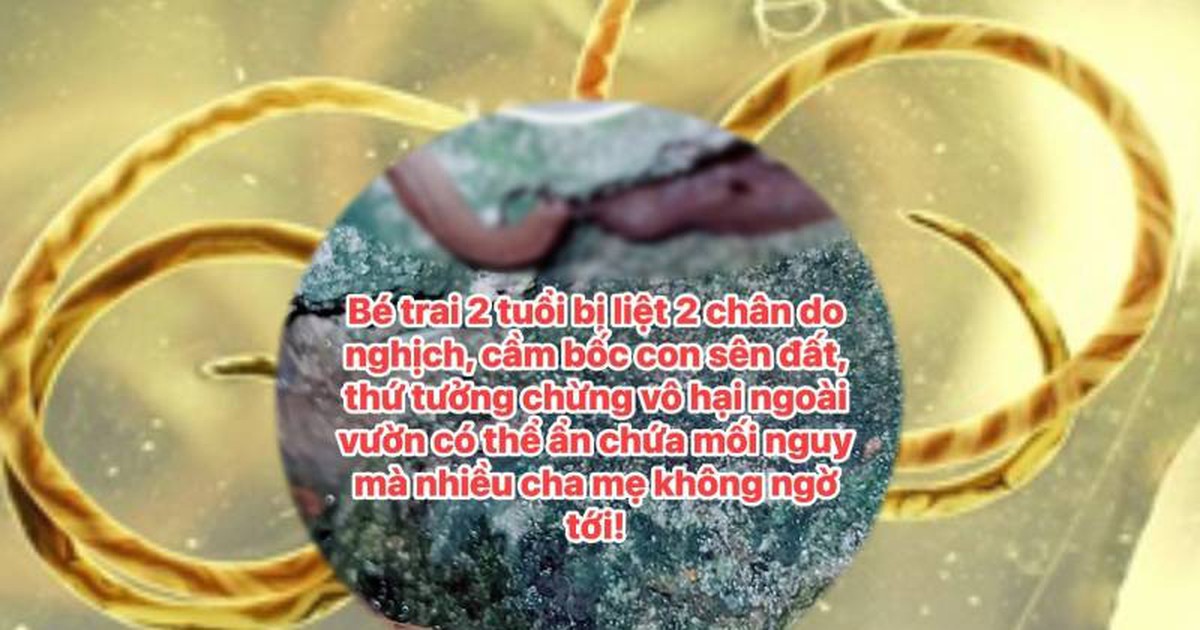 Từ câu chuyện bé trai 2 tuổi được cho là bị liệt 2 chân do giun phổi chuột được chia sẻ trên MXH: Điều cha mẹ không nên bỏ qua