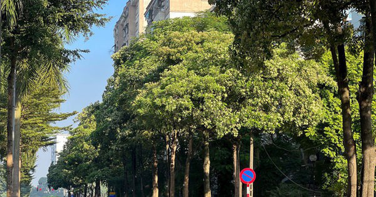 Hà Nội ngày nắng, đêm không mưa