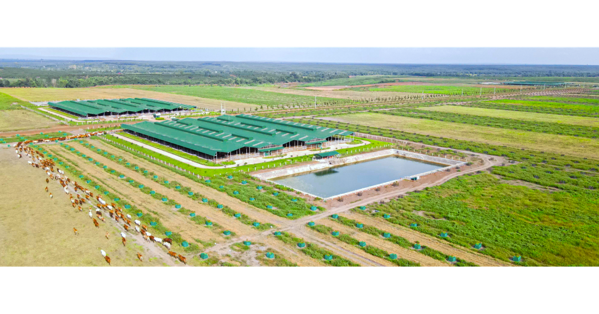 Vì sao Thaco Agri bị xử phạt?