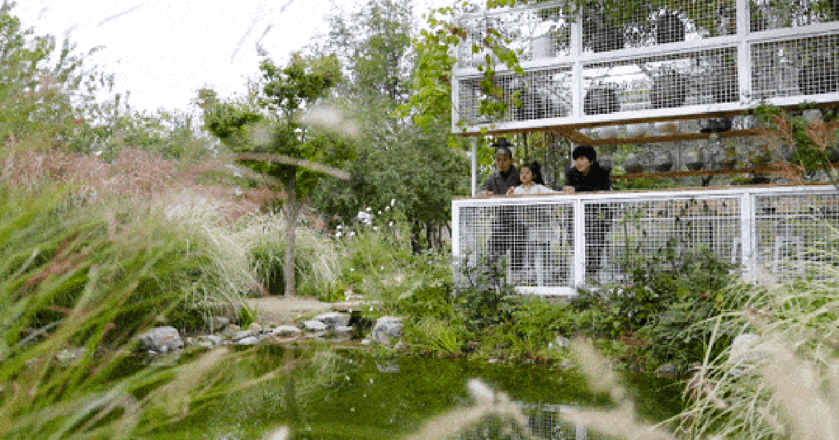 Gần 40 tuổi, người phụ nữ bỏ việc để thuê hơn 10.000m² đất hoang: 4 năm sau, nơi này thành khu vườn khiến nhiều người ao ước