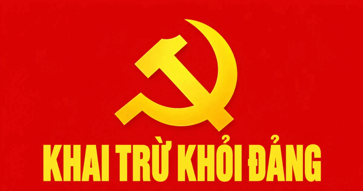 Nguyên Phó trưởng Phòng TN&MT ở Quảng Ngãi bị khai trừ khỏi Đảng
