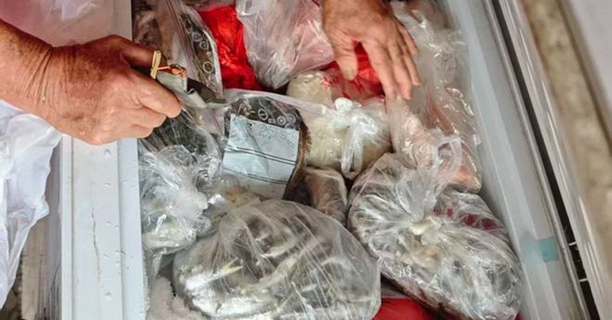 Lời khuyên cho những gia đình thường xuyên cấp đông thực phẩm