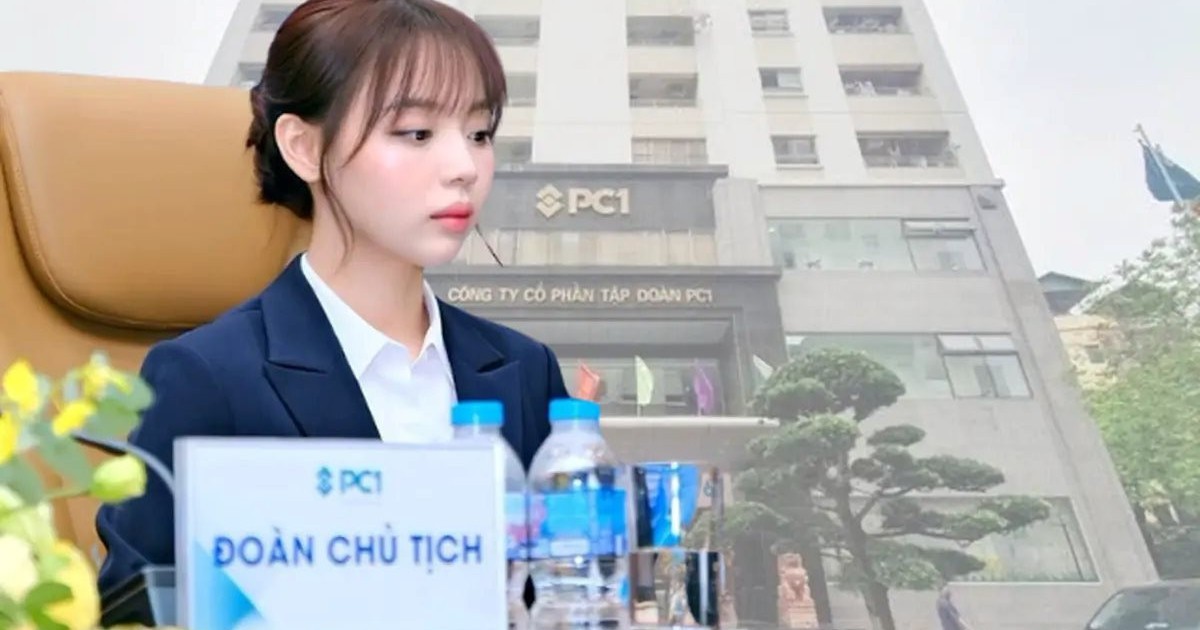 Công ty điện có nữ Chủ tịch sinh năm 1999: Doanh thu giảm hơn 1.200 tỷ đồng nhưng lợi nhuận tăng 27%, nắm kho tiền 5.000 tỷ đồng