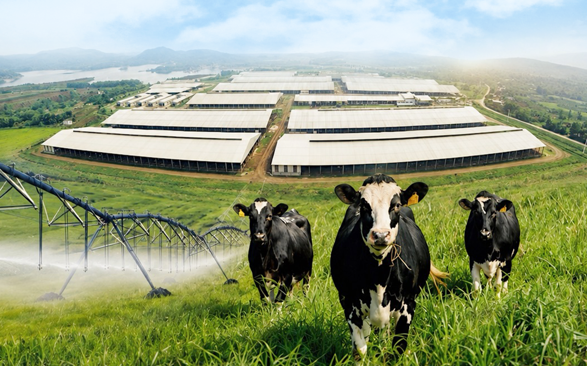 11 sản phẩm TH đạt trung hòa carbon, bước tiến nối dài trên hành trình Net Zero