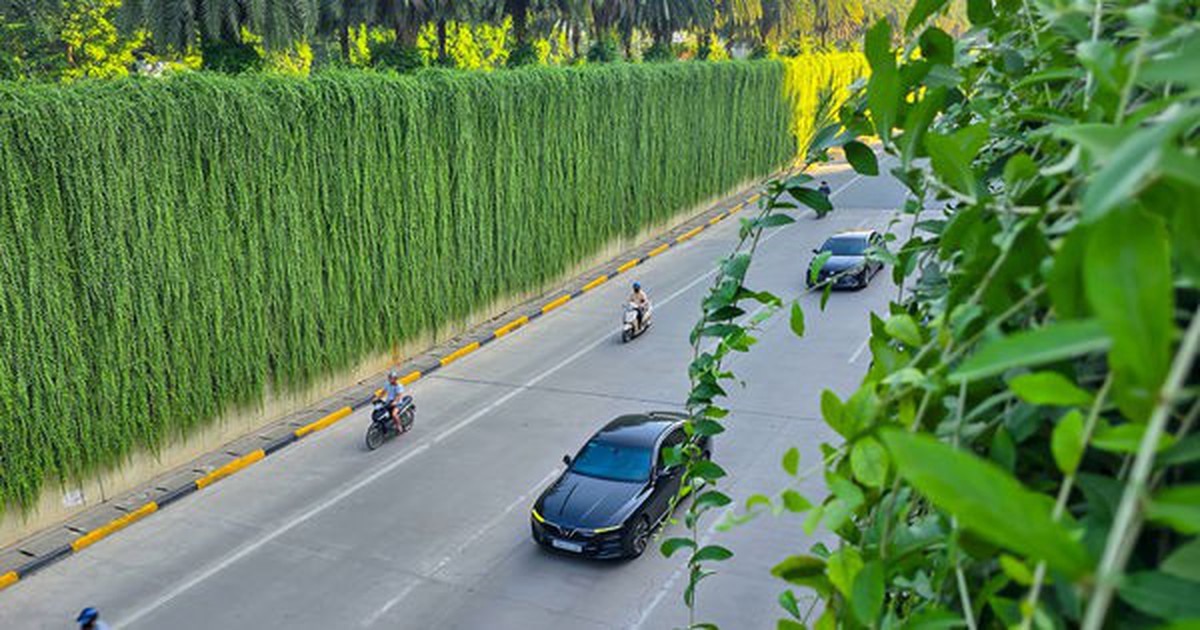 Bắc Bộ ngày nắng, có mưa vài nơi