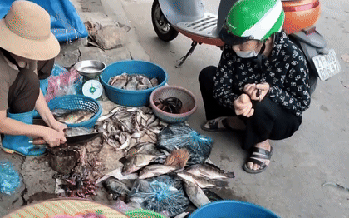 Loại cá giá rẻ bán đầy chợ Việt Nam được quốc gia giàu có Trung Đông chi 10 triệu USD "săn lùng": 1 tháng tăng 231%
