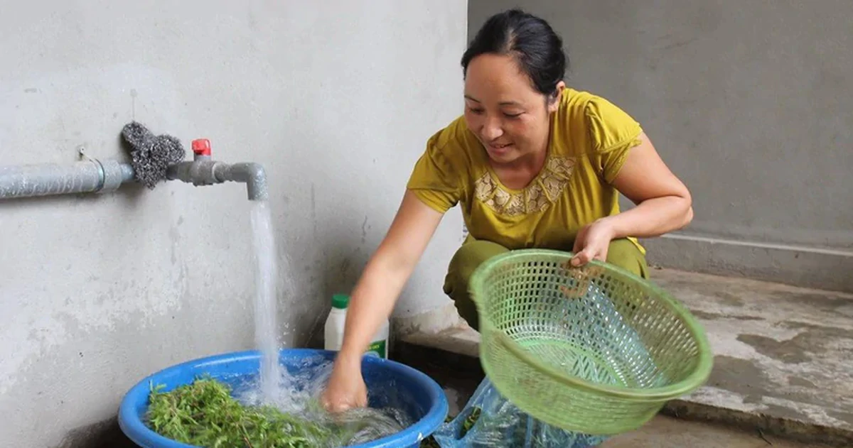 Lời khuyên cho tất cả các gia đình đang ngâm rau quả trong nước muối thay vì rửa kỹ dưới vòi nước