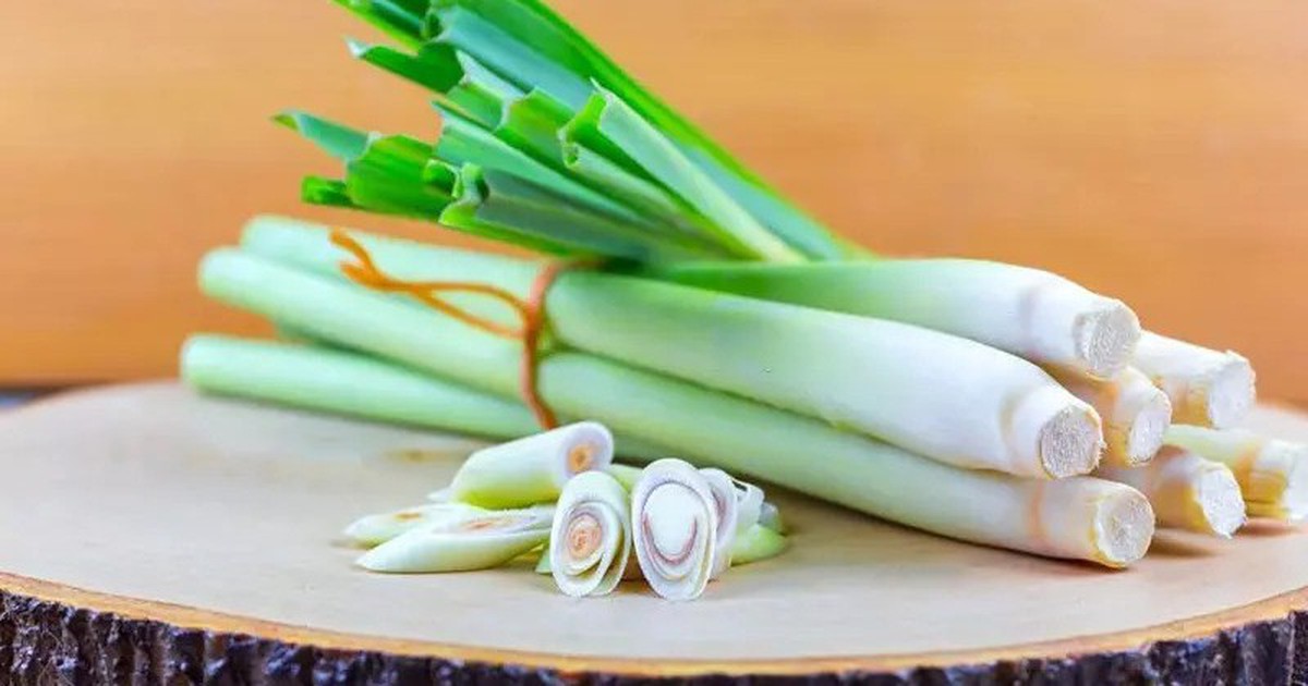 Lời khuyên đến tất cả các gia đình đang trồng cây sả để ăn