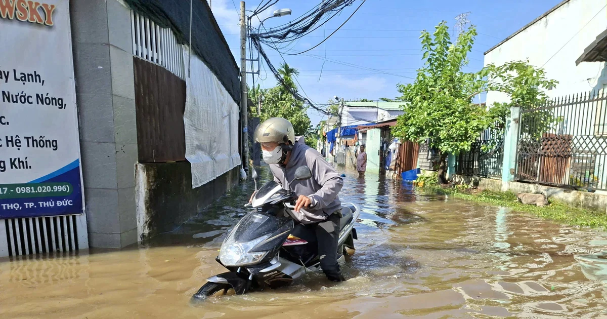 Chuyên gia hiến kế để TPHCM thoát ngập