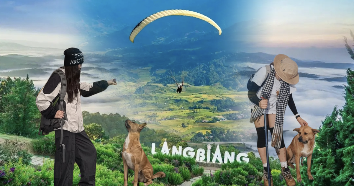 "Hướng dẫn viên" ở Đà Lạt được du khách lập hẳn địa danh riêng trên Google Maps dù chưa từng nhận một đồng lương