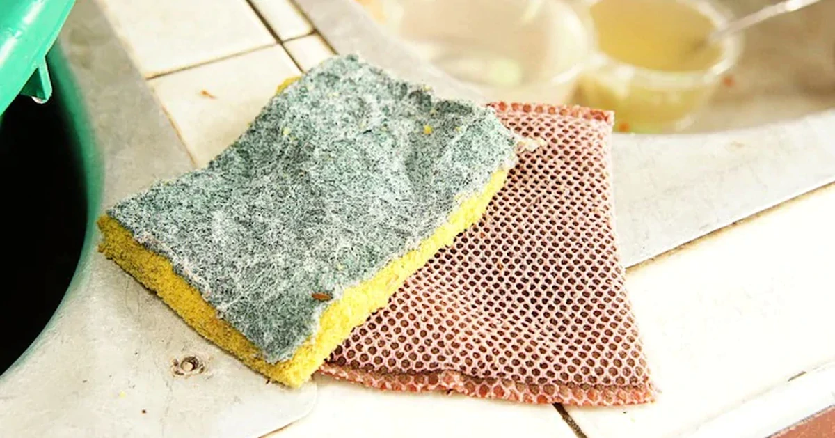 Tất cả các gia đình đang dùng miếng bọt biển rửa bát xin chú ý!