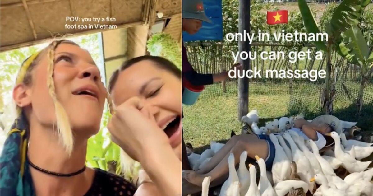 Khách Tây đi massage vịt, cá ở Việt Nam khen "kỹ thuật viên rất tốt, rất hài"