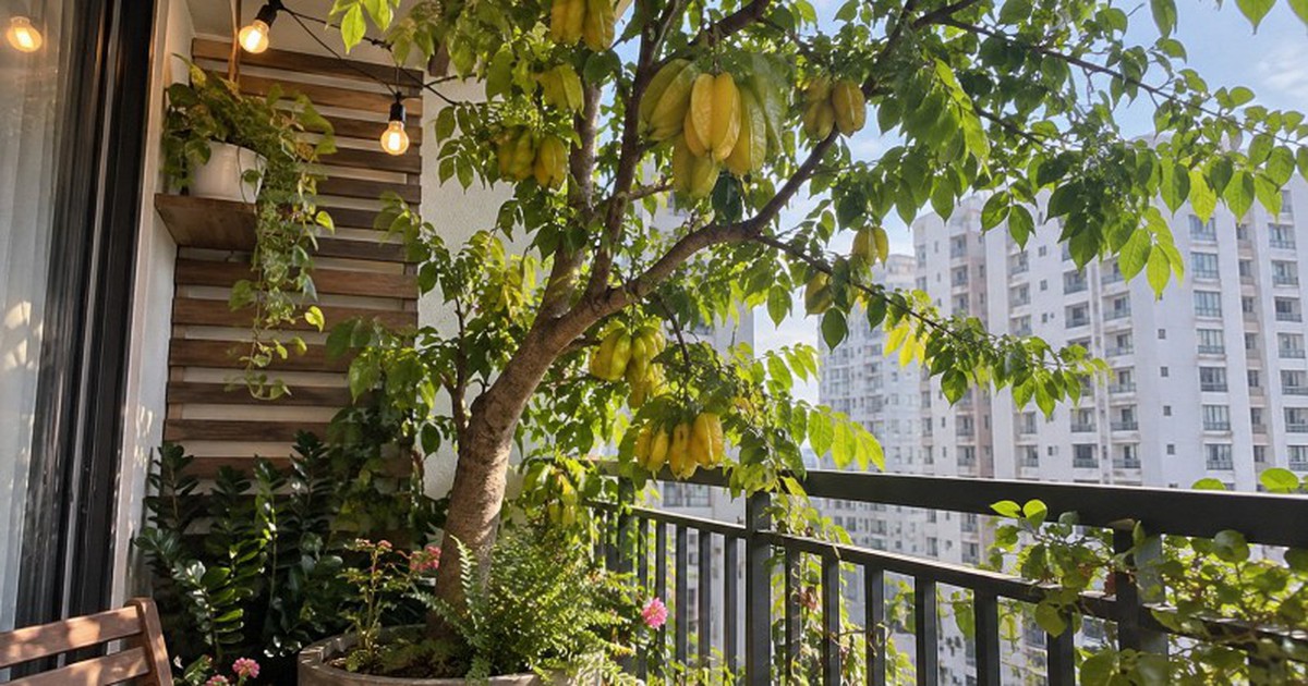 Tin vui cho những người đang trồng cây khế