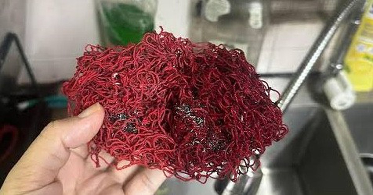 5 loại lưới rửa bát tiếc mấy cũng nên vứt ngay vào sọt rác!