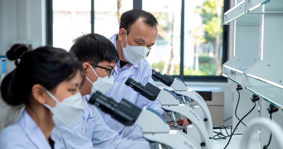 Chân dung 9 người Việt vào nhóm 10.000 nhà khoa học có ảnh hưởng nhất thế giới năm 2026
