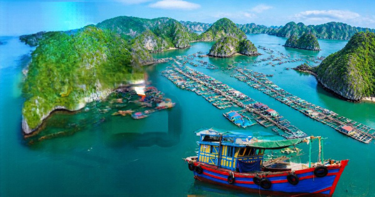 Việt Nam có làng chài lâu hơn kim tự tháp Ai Cập hơn 2.000 năm: Đào lên được 88 đầu cá biển, giờ vẫn 300 hộ sống trên mặt nước