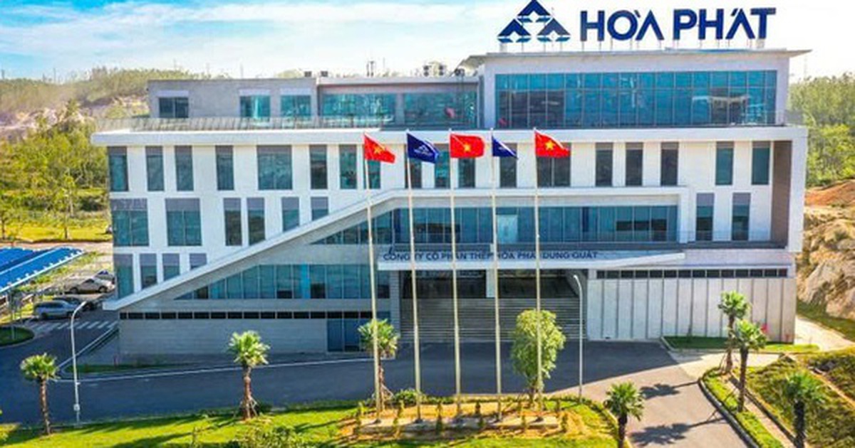 Con trai Chủ tịch Trần Đình Long muốn ‘gom’ 50 triệu cổ phiếu HPG