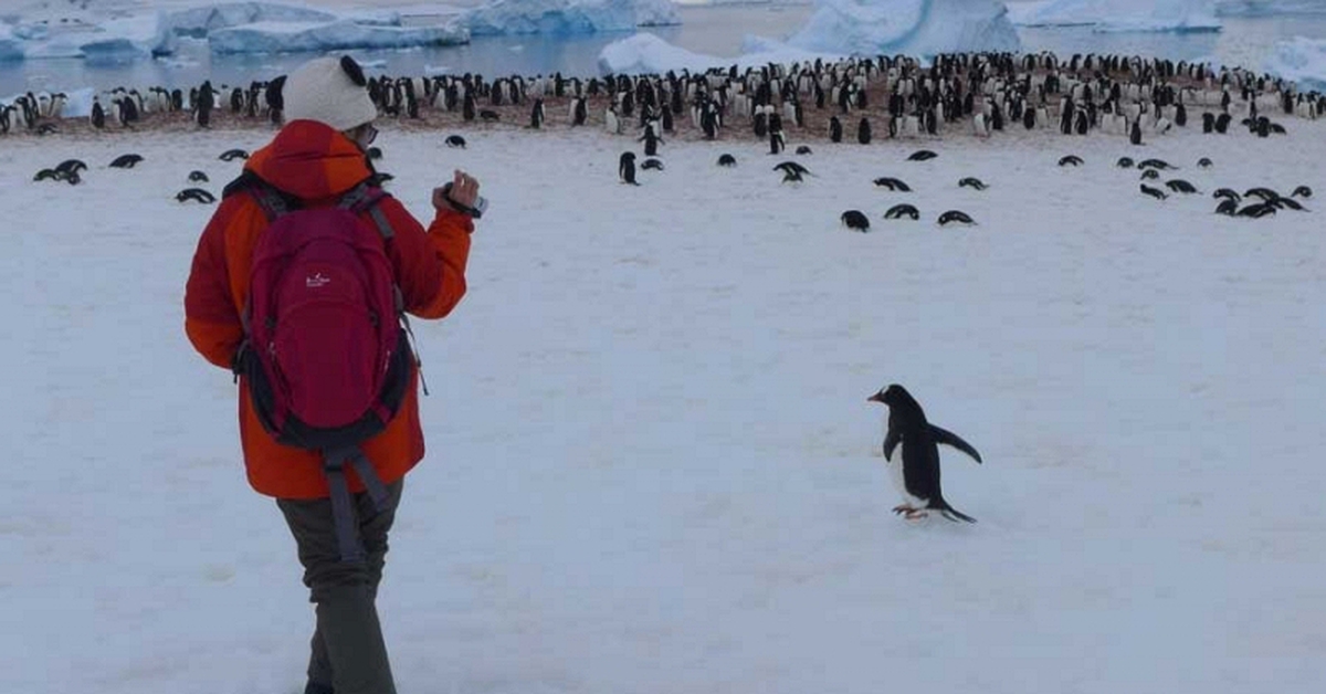 Dành dụm cả năm, chi 380 triệu đồng để du lịch Nam Cực, nữ du khách rơi vào "cơn ác mộng"