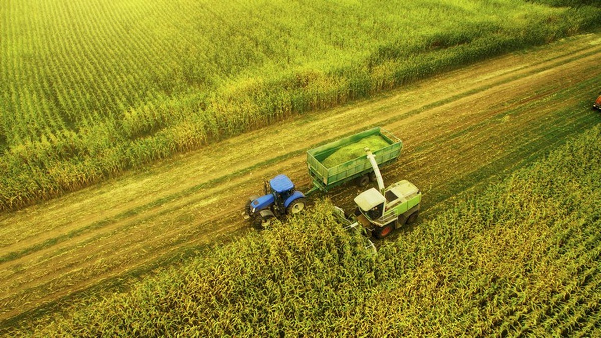 Tầng lớp tỷ phú mới nổi lên ở Nga