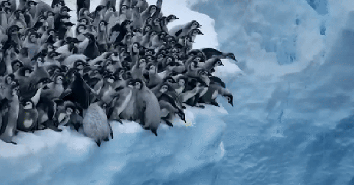 Hàng trăm chú chim cánh cụt đồng loạt nhảy từ vách băng 15m xuống: Vì sao có cảnh tượng kỳ lạ này?