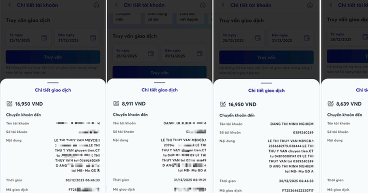 Một phụ nữ lừa đảo chiếm đoạt tài sản với thủ đoạn hiếm thấy