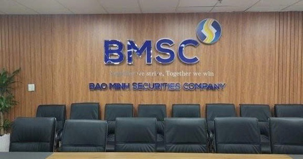 Chứng khoán Bảo Minh dự kiến niêm yết gần 204 triệu cổ phiếu BMS trên HoSE