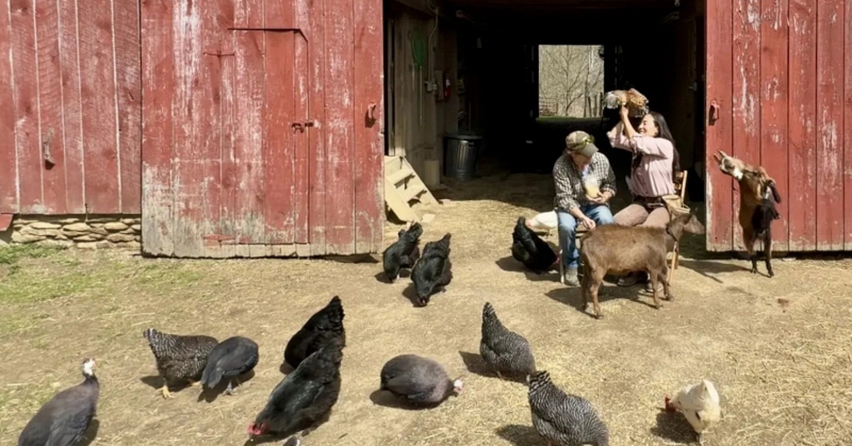 Cặp vợ chồng chi hơn 10,2 tỷ đồng mua mảnh đất 151.757m² để nghỉ hưu: “Chúng tôi chấp nhận vay thế chấp trong 30 năm”