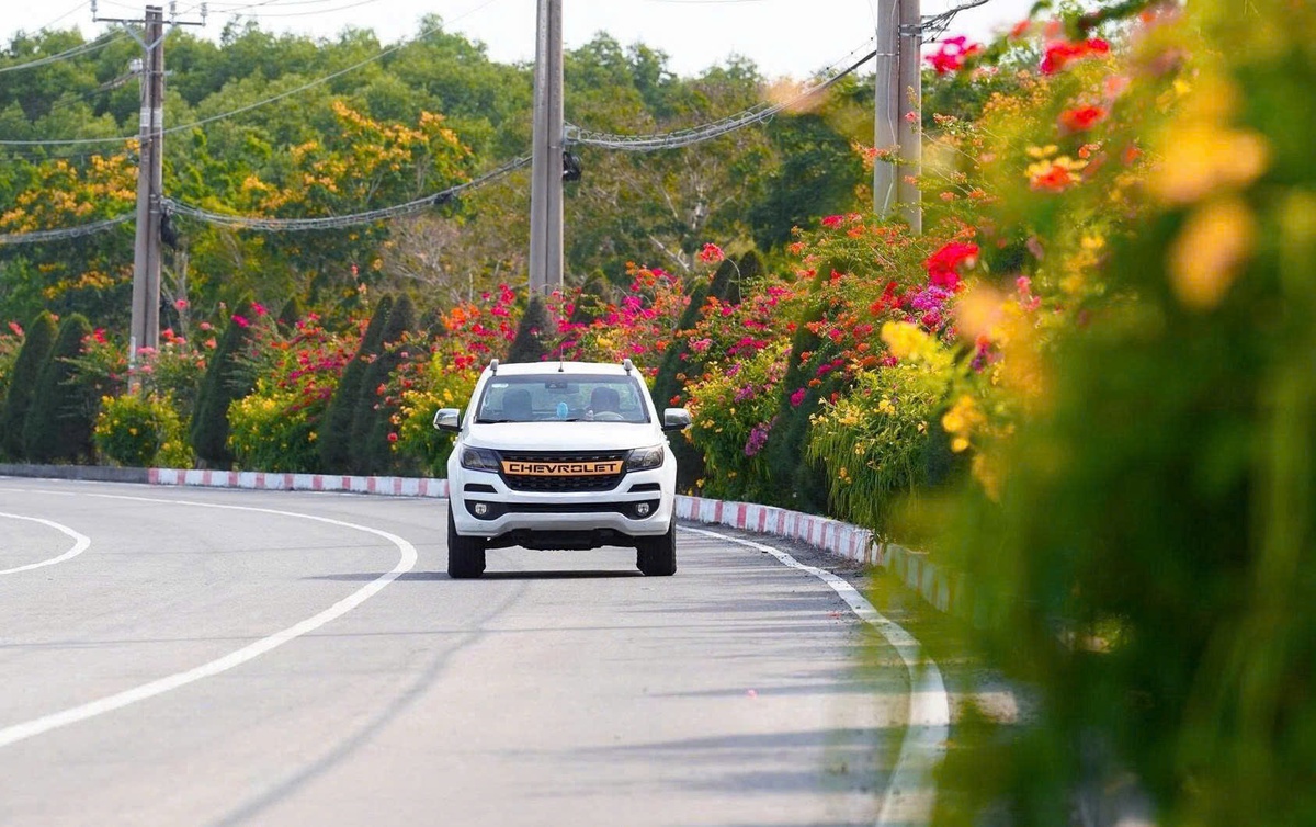 Ngắm cung đường tuyệt đẹp xuyên rừng ngập mặn ở TP.HCM