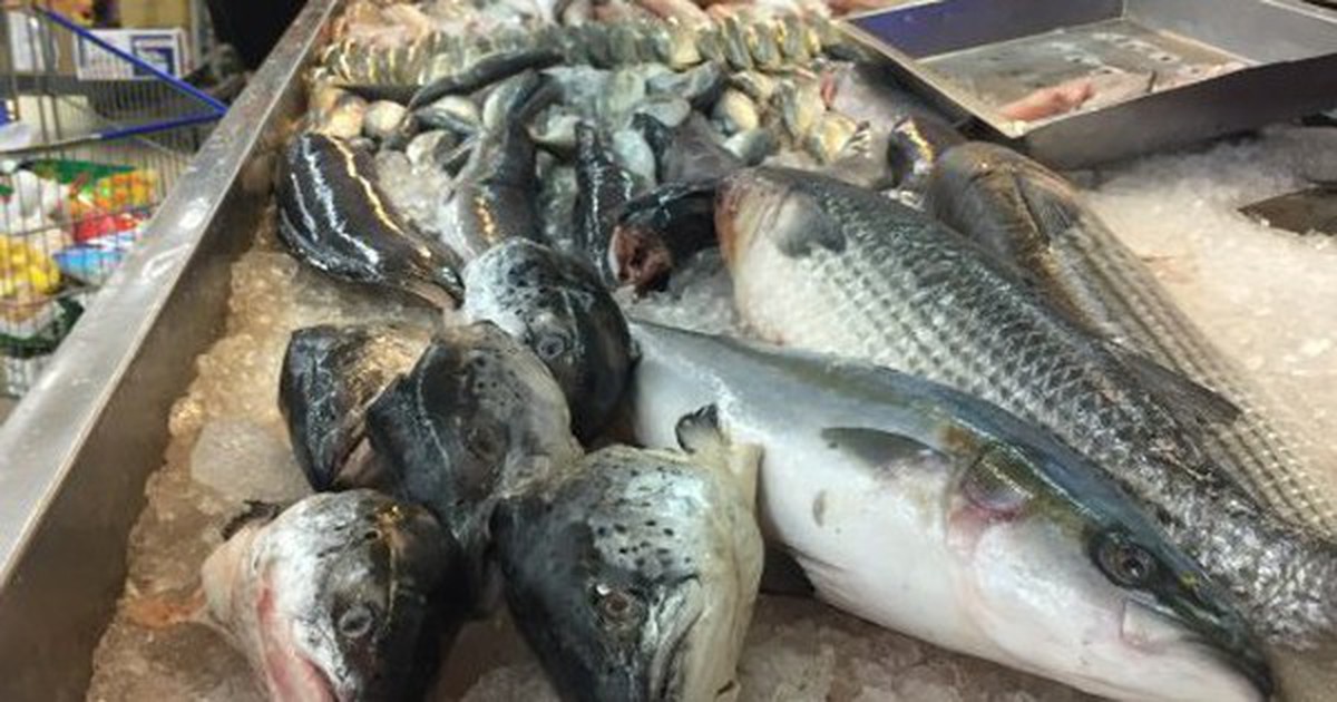 Hoa mắt trước quầy cá siêu thị: Nhân viên chỉ 3 loại "vô địch DHA", tốt cho não, giá vừa túi tiền