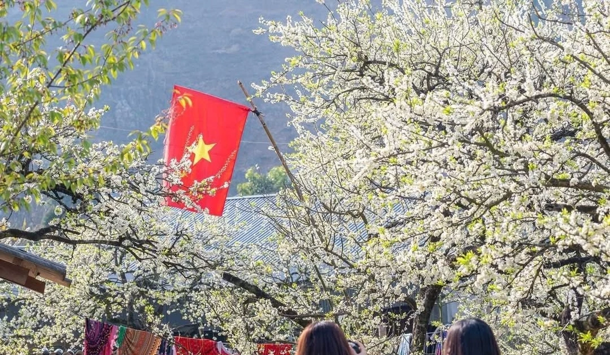 Du lịch mùa hoa: Từ trào lưu đến bài toán sản phẩm quy mô