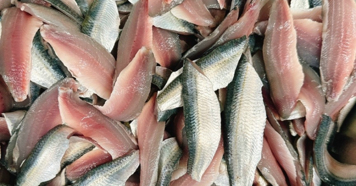 10 loại cá bình dân nhưng bổ ngang cá hồi, ra chợ là mua được