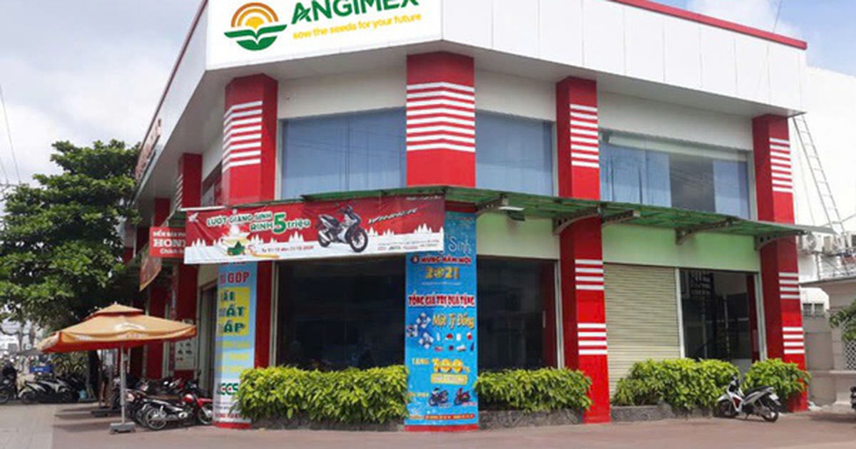 Vốn chủ sở hữu âm, Angimex không còn đáp ứng điều kiện công ty đại chúng