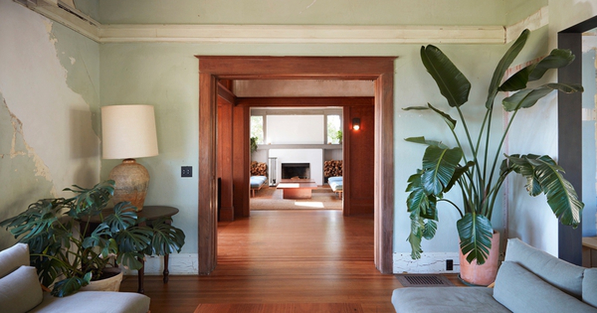 3 loại cây "hút" tài lộc và may mắn, rất nên trồng trong nhà