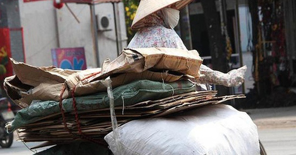 Thu mua phế liệu bìa carton có doanh thu trên 3 tỷ đồng, thiếu hóa đơn đầu vào phải xử lý ra sao? Cơ quan Thuế giải đáp