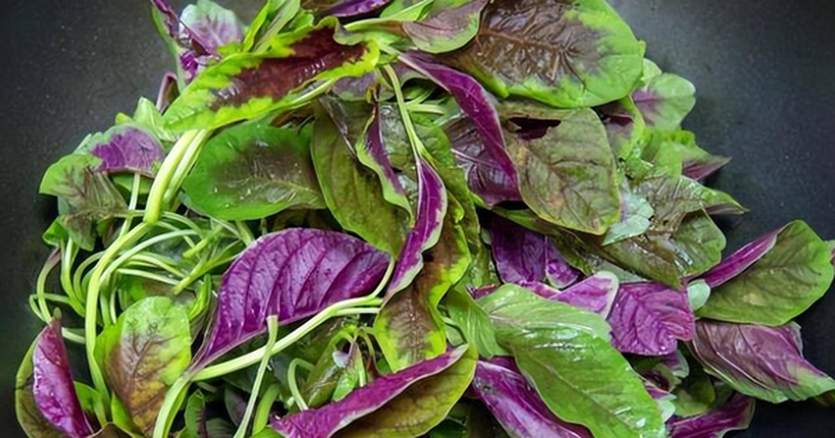 5 loại rau rất ít bị phun thuốc trừ sâu, ăn cực ngon miệng, chợ Việt bán chỉ vài ngàn một mớ