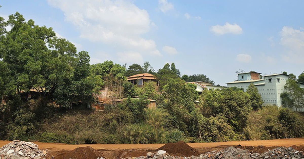 Loay hoay thu hồi hàng chục ngàn mét vuông đất rừng