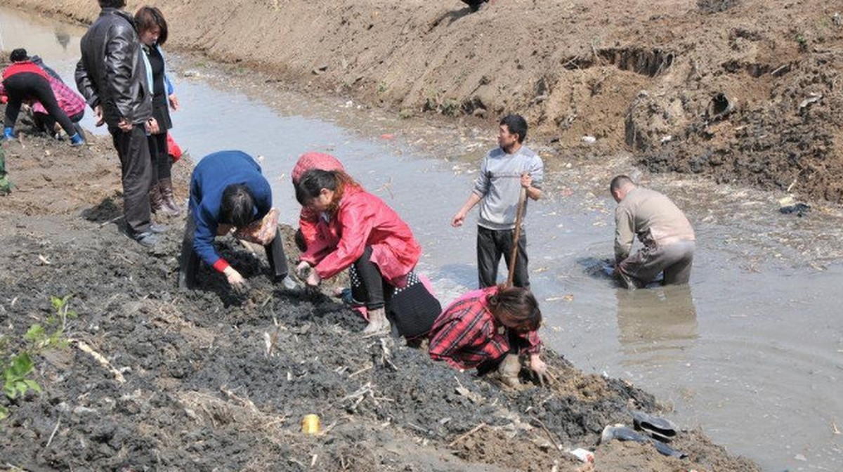 Công trường dừng thi công khẩn cấp vì máy xúc đào trúng vật cứng, con mương rộng 6m bị phong tỏa