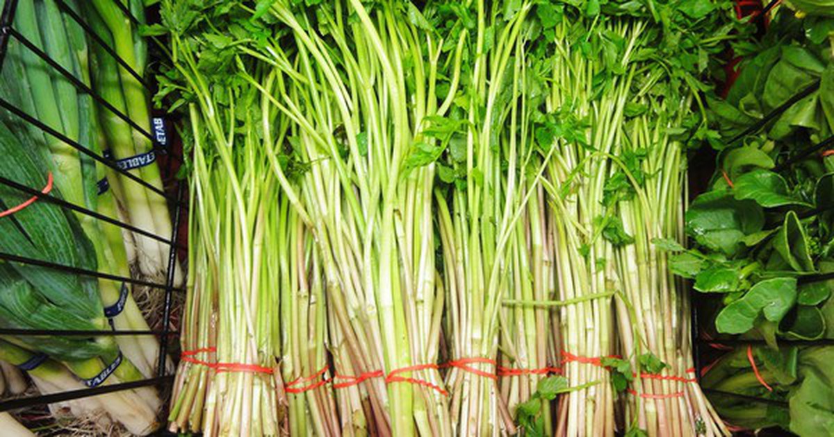 Cảnh báo: Một số thực phẩm hàng ngày tiềm ẩn ký sinh trùng, đừng ăn quá nhiều